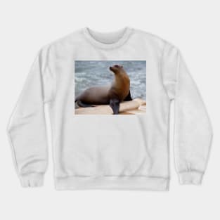 Sea Lion Crewneck Sweatshirt